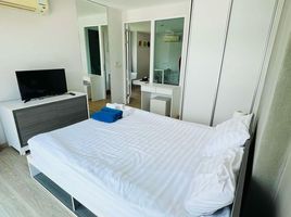 1 Schlafzimmer Wohnung zu vermieten im Ozone Condotel, Karon