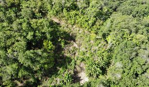 N/A Land for sale in Patong, Phuket 