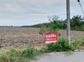  Grundstück zu verkaufen in Pak Phanang, Nakhon Si Thammarat, Pak Phanang, Nakhon Si Thammarat