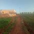  Land for sale in Khemisset, Rabat Sale Zemmour Zaer, Tiflet, Khemisset