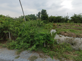  Land for sale in Tha Kham, Bang Khun Thian, Tha Kham