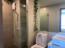 1 Bedroom Apartment for rent at Ideo O2, Bang Na