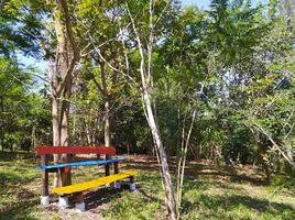 5 Schlafzimmer Villa zu vermieten in Ecuador, Malacatos Valladolid, Loja, Loja, Ecuador