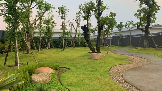 写真 1 of the Communal Garden Area at Rochalia Residence