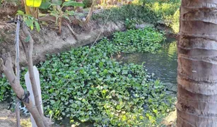 N/A Land for sale in Bo Phut, Surat Thani 