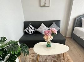 Studio Condo for rent at The Tree Pattanakarn - Ekkamai, Suan Luang, Suan Luang