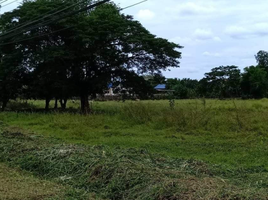  Grundstück zu verkaufen in Phu Kradueng, Loei, Phu Kradueng, Phu Kradueng