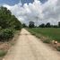  Land for sale in Bang Phueng, Ban Mi, Bang Phueng