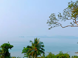  Grundstück zu verkaufen in Koh Samui, Surat Thani, Maenam