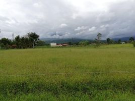  Land for sale in Grecia, Alajuela, Grecia