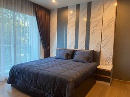 1 Bedroom Condo for sale at Touch Hill Place Elegant, Chang Phueak, Mueang Chiang Mai, Chiang Mai, Thailand