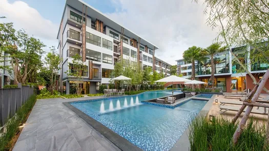 Photos 1 of the Communal Pool at Arise Condo At Mahidol