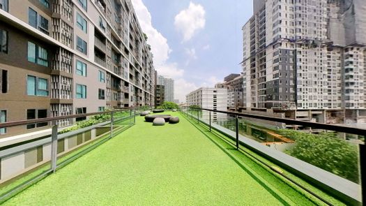 3D Walkthrough of the Communal Garden Area at Centric Ratchada - Huai Khwang