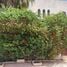 4 Bedroom House for sale in Tetouan Tanger Tetouan, Na Martil, Tetouan, Tanger Tetouan