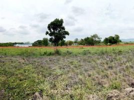 Land for sale in Pak Chong, Nakhon Ratchasima, Pak Chong