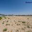  Land for sale at Al Warsan 1, Al Warsan, Dubai