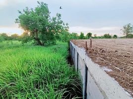  Grundstück zu verkaufen in Mueang Saraburi, Saraburi, Pak Phriao