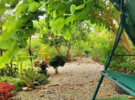 3 Bedroom House for sale at Promprieng Mountain View , Buak Khang