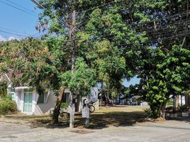 3 Bedroom House for sale at Patak Villa, Chalong, Phuket Town