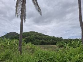  Land for sale in Wang Phong, Pran Buri, Wang Phong