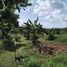  Land for sale in Natai Pier, Khok Kloi, Khok Kloi