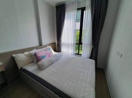 Studio Wohnung zu vermieten im Brompton Pet Friendly Samrong Station, Samrong Nuea