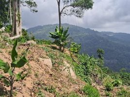  Grundstück zu verkaufen in Koh Samui, Surat Thani, Lipa Noi