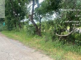  Land for sale in Sao Hai Saraburi, Tha Chang, Sao Hai