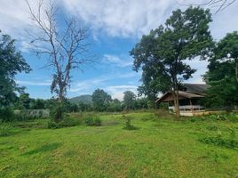  Land for sale in Don Kha, U Thong, Don Kha