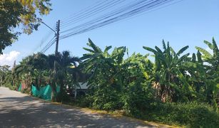 N/A Land for sale in Nong Chom, Chiang Mai 