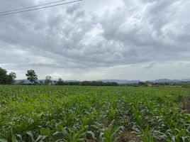  Grundstück zu verkaufen in Pak Chong, Nakhon Ratchasima, Pak Chong, Pak Chong