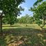  Land for sale in Chiang Rai, Huai Sak, Mueang Chiang Rai, Chiang Rai