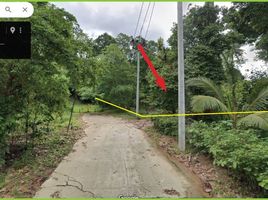  Land for sale in Koh Samui Surat Thani, Ang Thong, Koh Samui