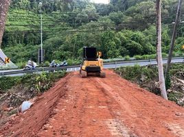  Grundstück zu verkaufen in Thalang, Phuket, Sakhu