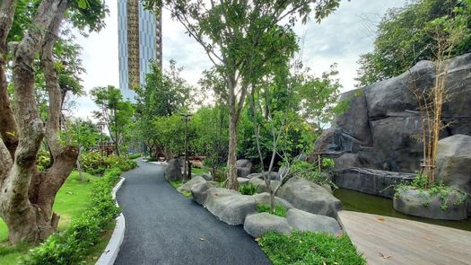 图片 1 of the Communal Garden Area at Copacabana Beach Jomtien