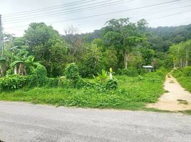  Land for sale in Thalang, Phuket, Thep Krasattri, Thalang