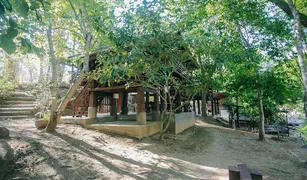 清迈 Pa Miang N/A 土地 售 