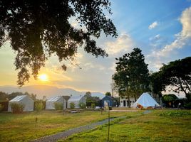  Grundstück zu verkaufen in Mae Rim, Chiang Mai, Don Kaeo, Mae Rim