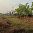  Land for sale in Mueang Nong Bua Lam Phu, Nong Bua Lam Phu, Na Mafueang, Mueang Nong Bua Lam Phu