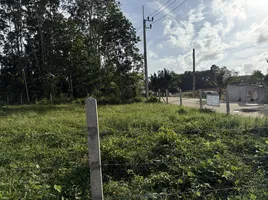  Land for sale in Si Sunthon, Phuket, Si Sunthon, Thalang, Phuket