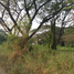  Land for sale in Nakhon Pathom, Sam Phran, Nakhon Pathom