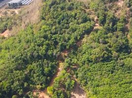  Land for sale in Siam Niramit Phuket, Ko Kaeo, Ko Kaeo