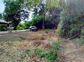  Land for sale in Chiang Mai, Mae Faek Mai, San Sai, Chiang Mai