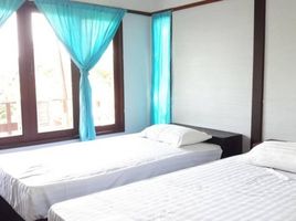 1 Schlafzimmer Haus zu vermieten im The Ocean Phangan Homestay, Ban Tai