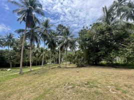  Grundstück zu verkaufen in Koh Samui, Surat Thani, Taling Ngam