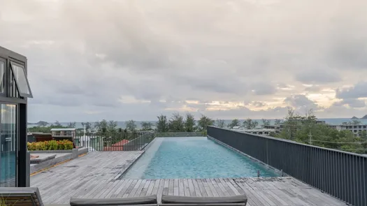 Photo 1 of the Communal Pool at The Deck Patong