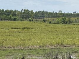  Grundstück zu verkaufen in Si Songkhram, Nakhon Phanom, Tha Bo Songkhram, Si Songkhram, Nakhon Phanom