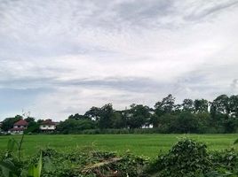  Land for sale in Makro Hangdong, Mae Hia, Mae Hia