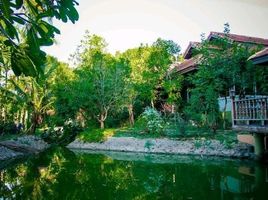 4 Schlafzimmer Haus zu verkaufen in Saraphi, Chiang Mai, Chomphu, Saraphi