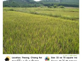  Land for sale in Chiang Rai, Ngio, Thoeng, Chiang Rai